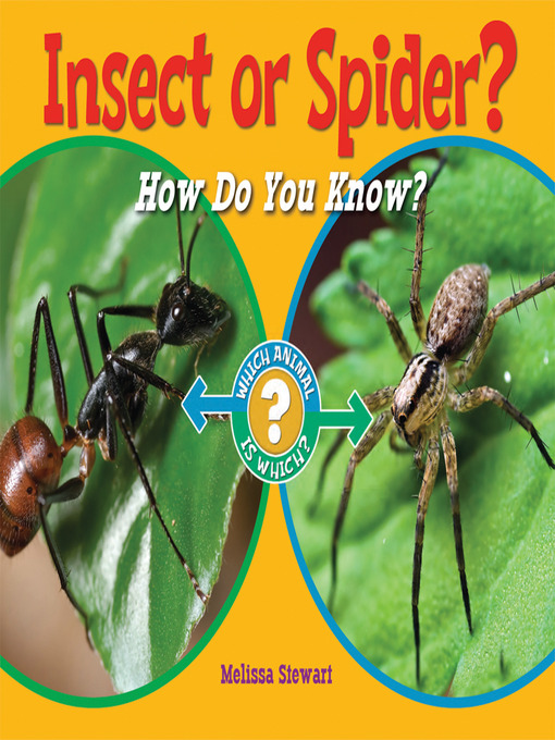 Title details for Insect or Spider? by Melissa Stewart - Wait list